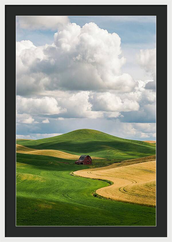 Palouse Hills In Spring