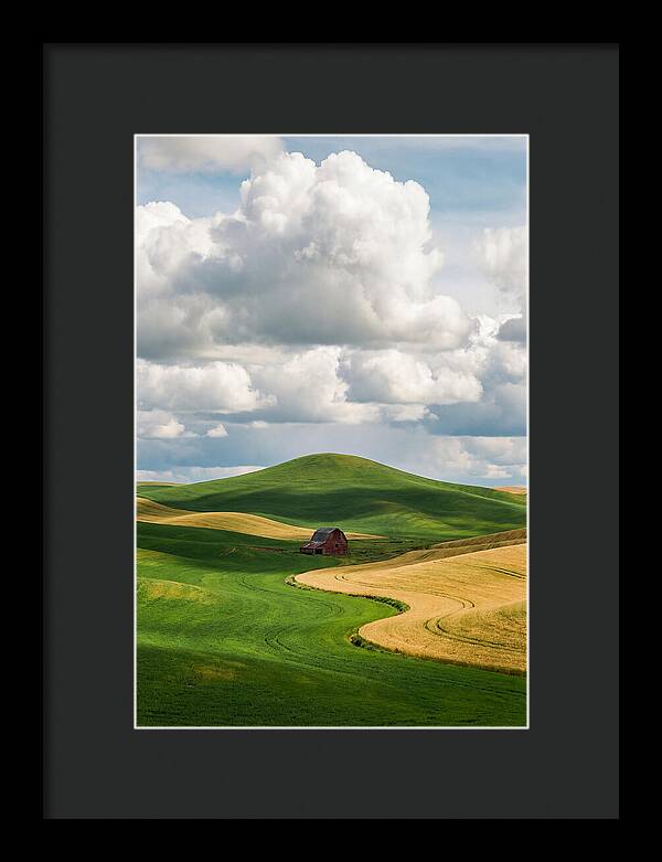 Palouse Hills In Spring