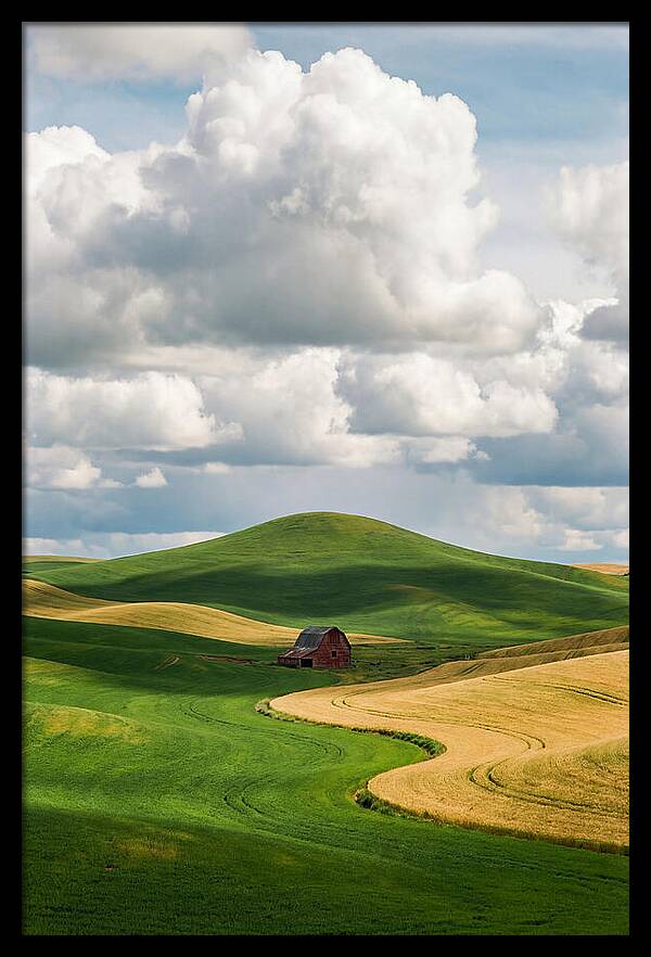 Palouse Hills In Spring