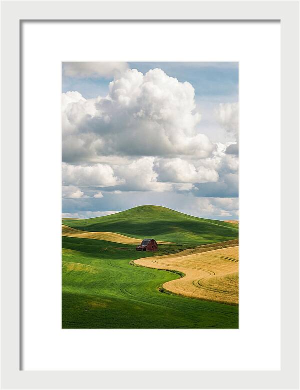 Palouse Hills In Spring