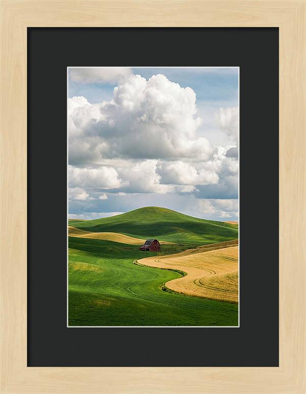 Palouse Hills In Spring