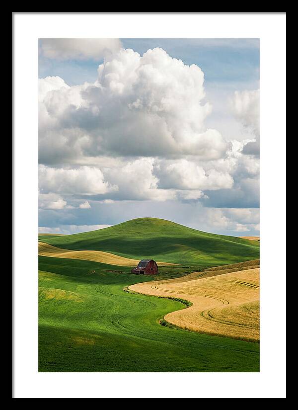 Palouse Hills In Spring