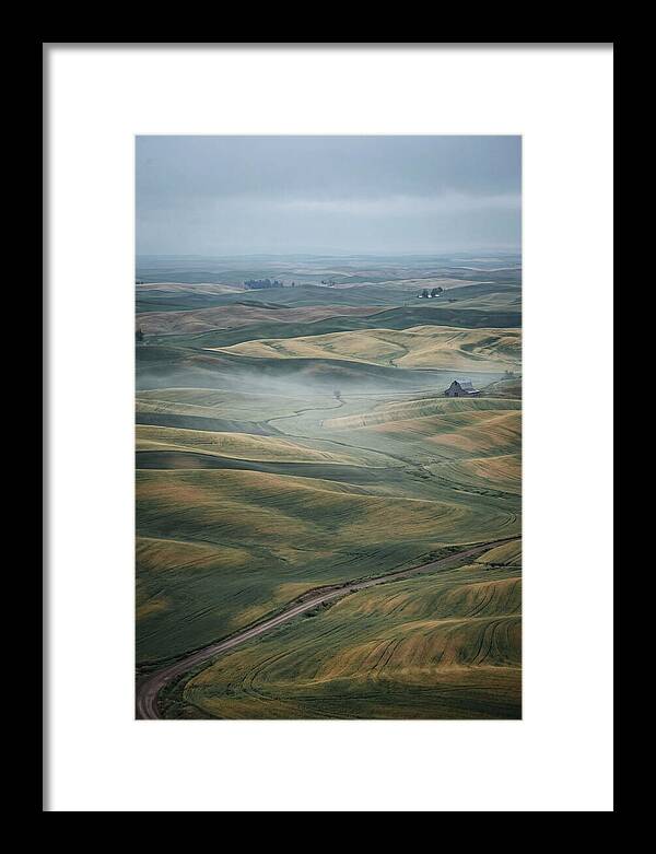 Palouse Hills In Spring