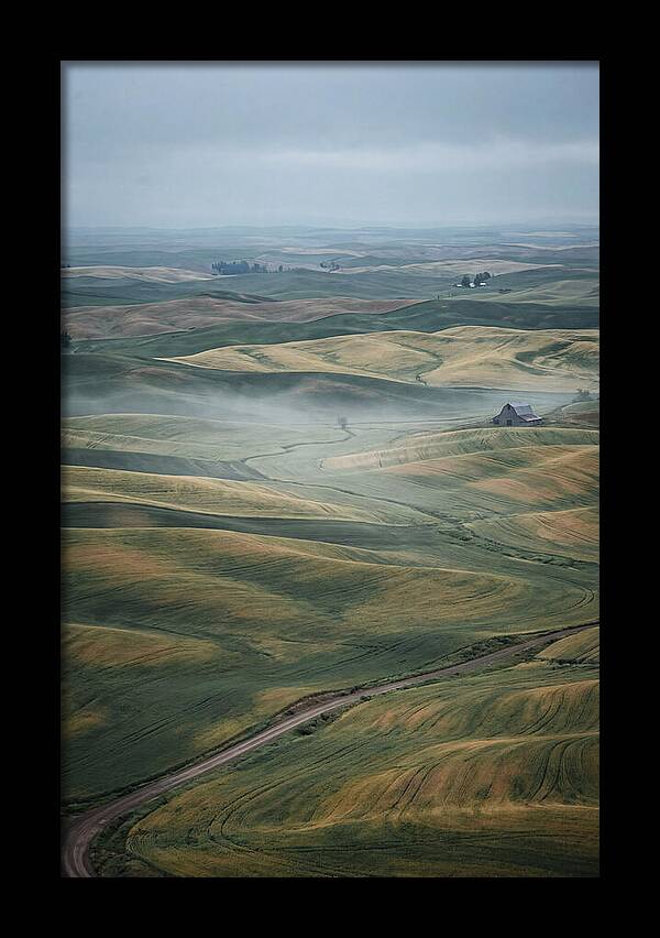 Palouse Hills In Spring