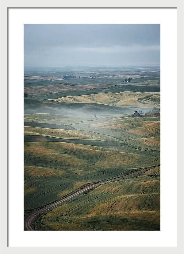 Palouse Hills In Spring