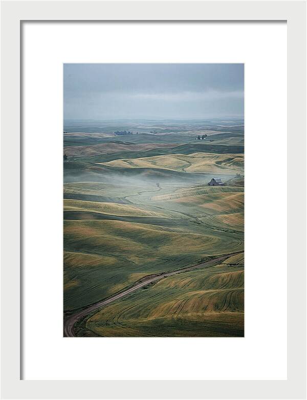 Palouse Hills In Spring