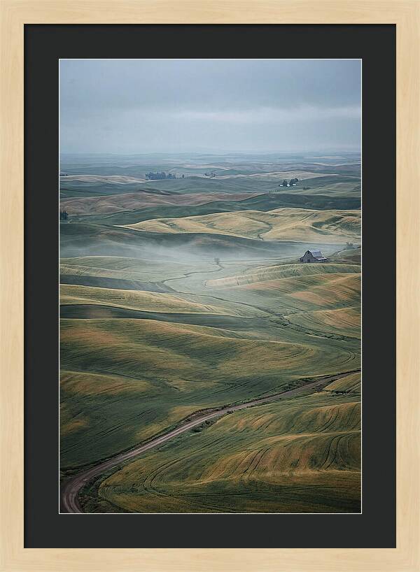Palouse Hills In Spring