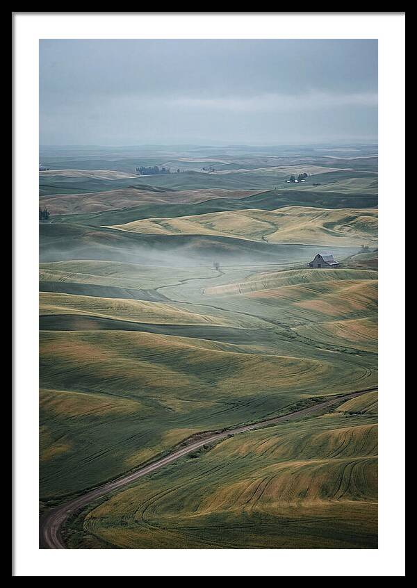 Palouse Hills In Spring