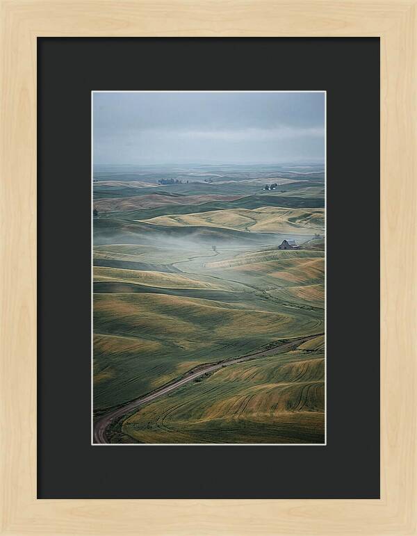 Palouse Hills In Spring