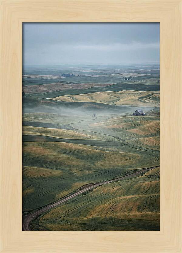 Palouse Hills In Spring