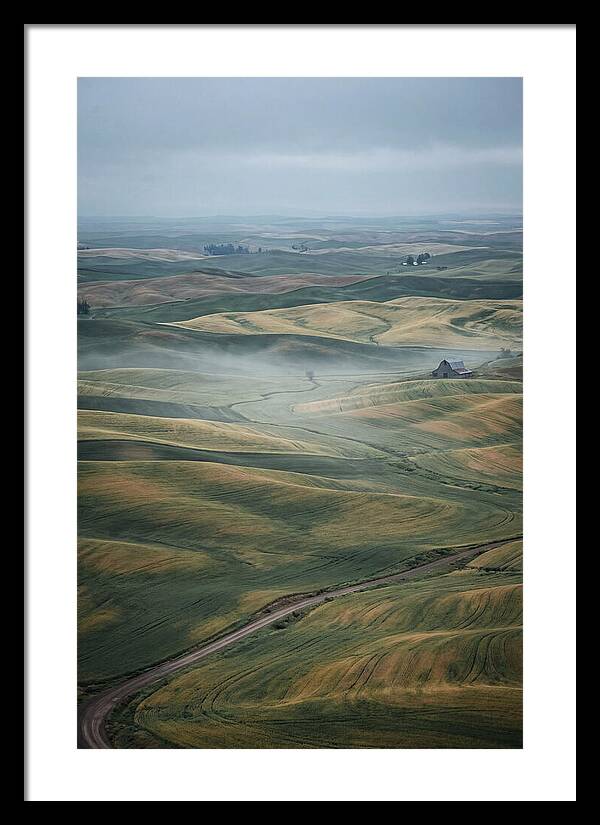 Palouse Hills In Spring