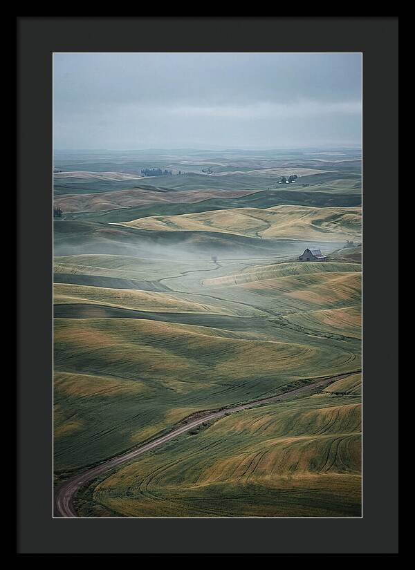 Palouse Hills In Spring
