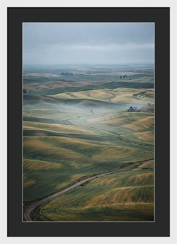 Palouse Hills In Spring