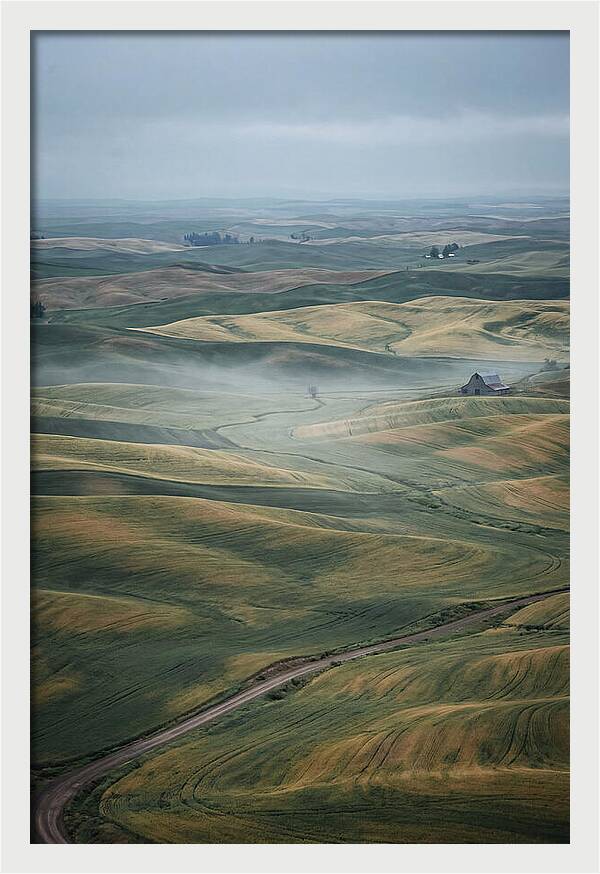 Palouse Hills In Spring