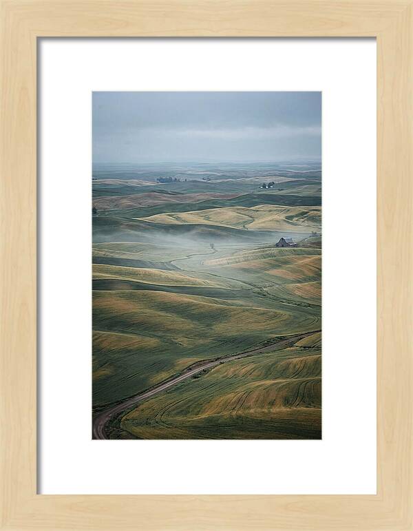 Palouse Hills In Spring