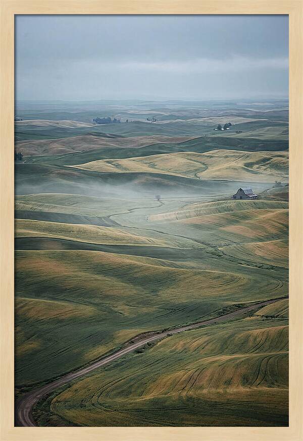 Palouse Hills In Spring