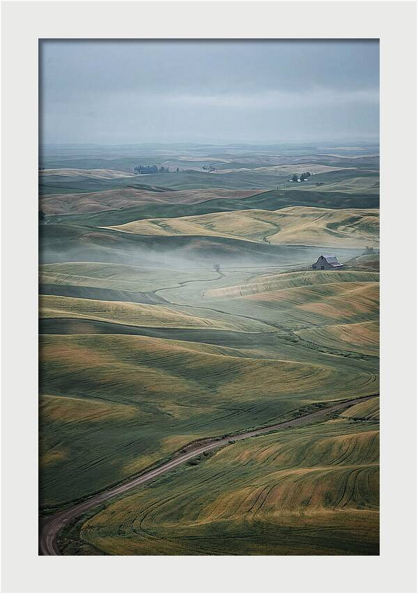 Palouse Hills In Spring