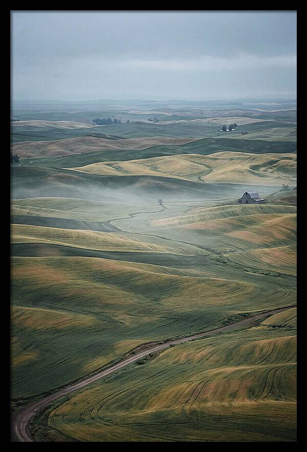 Palouse Hills In Spring