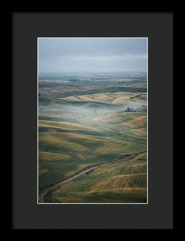 Palouse Hills In Spring