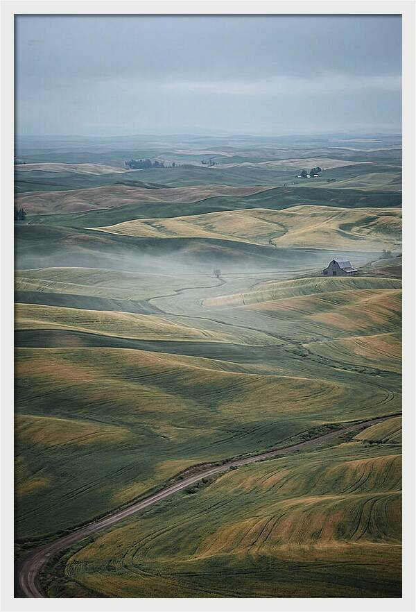 Palouse Hills In Spring