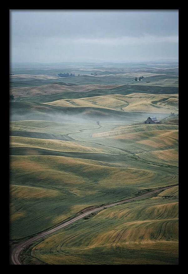 Palouse Hills In Spring