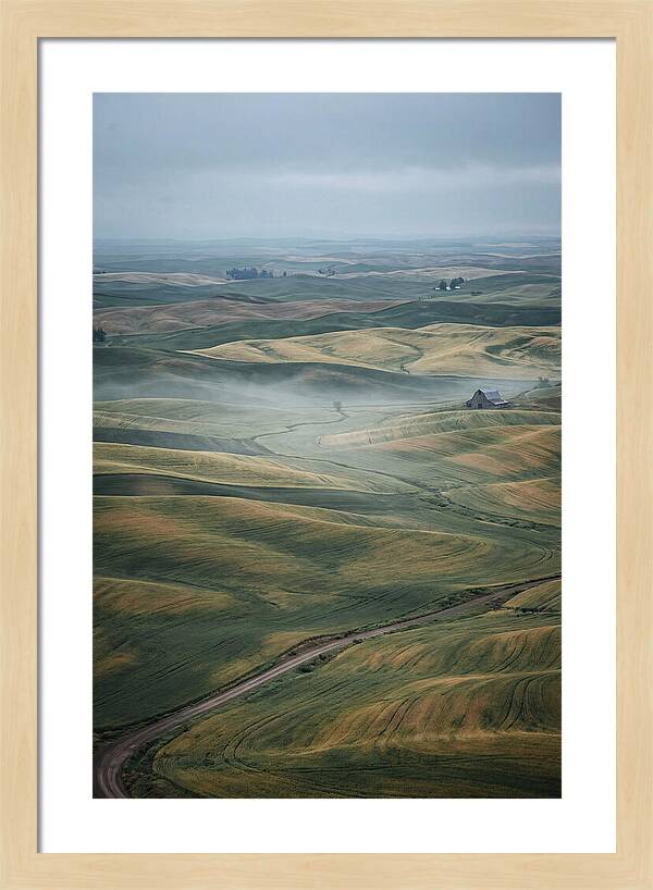 Palouse Hills In Spring