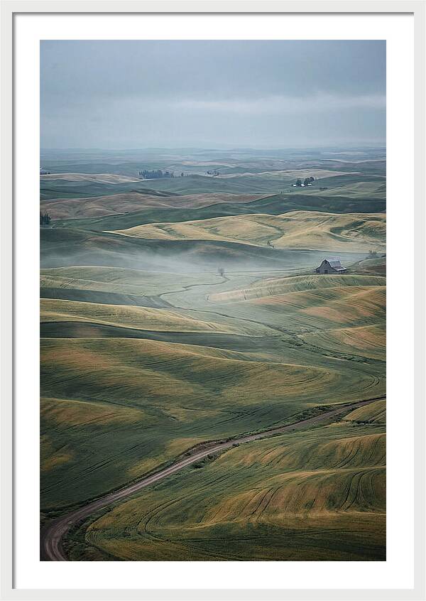 Palouse Hills In Spring