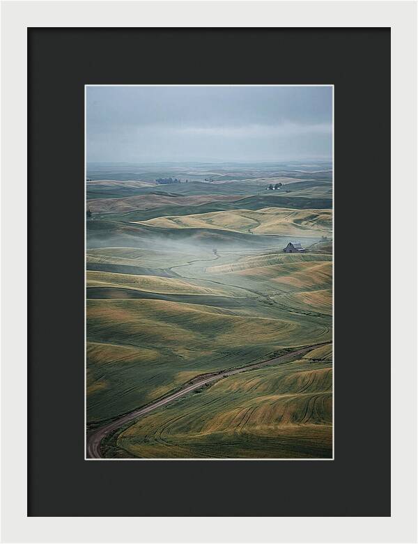 Palouse Hills In Spring