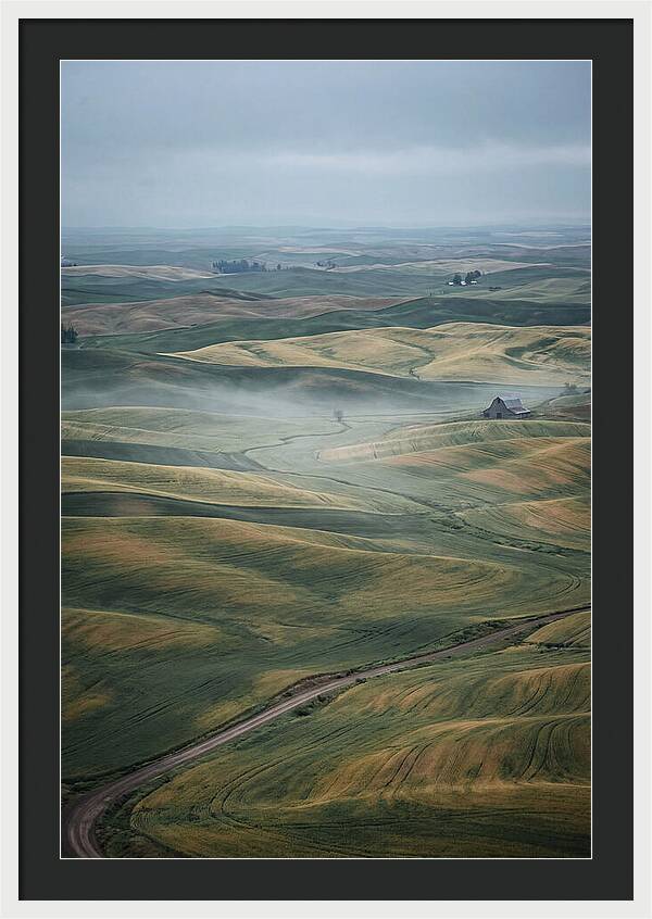 Palouse Hills In Spring
