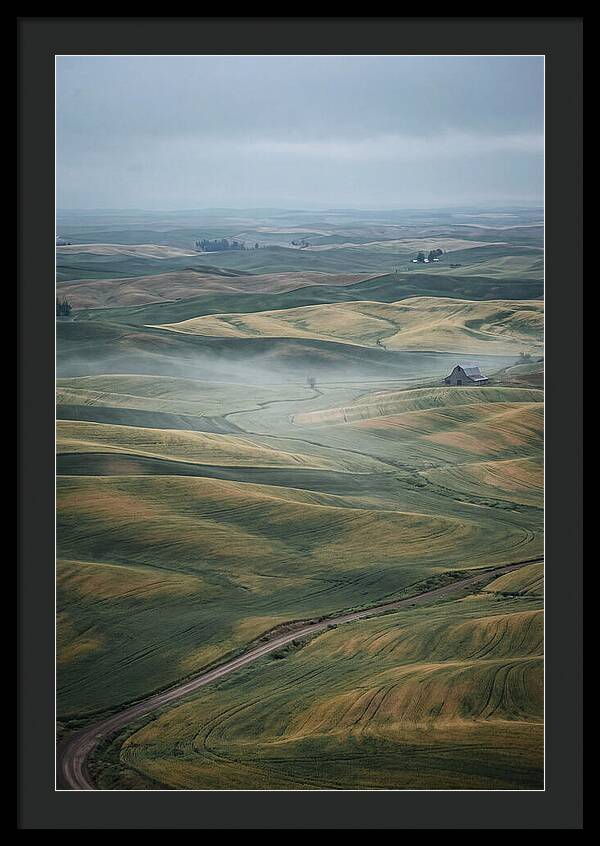 Palouse Hills In Spring