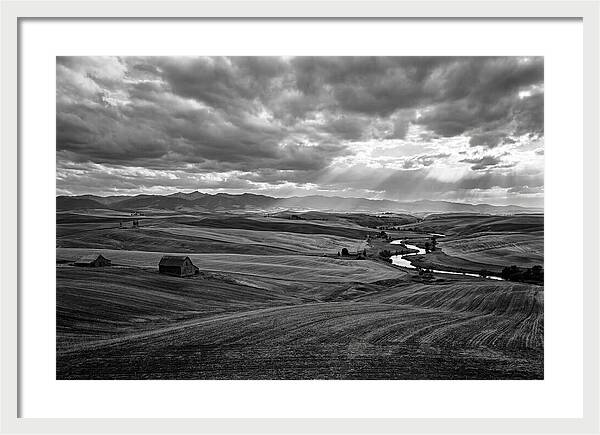 Palouse Hills Landscape Vista