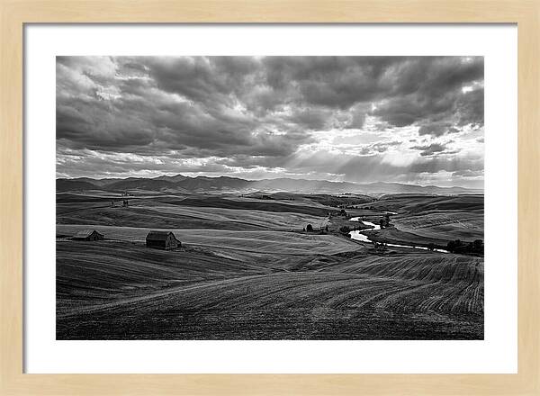 Palouse Hills Landscape Vista
