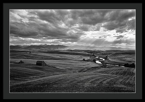 Palouse Hills Landscape Vista
