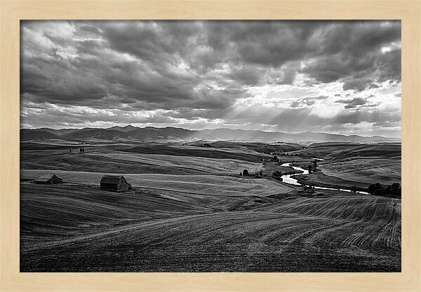 Palouse Hills Landscape Vista