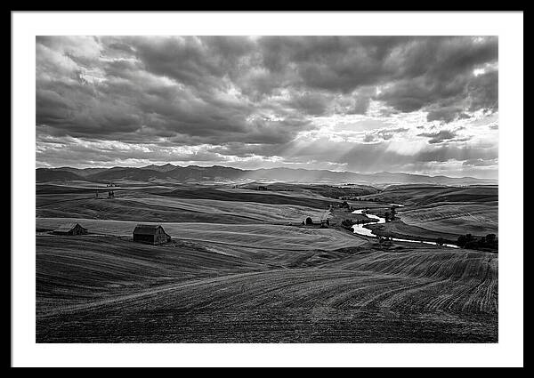 Palouse Hills Landscape Vista