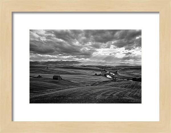 Palouse Hills Landscape Vista
