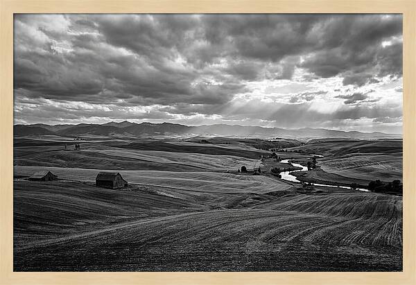Palouse Hills Landscape Vista