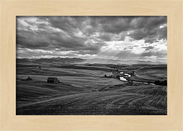 Palouse Hills Landscape Vista