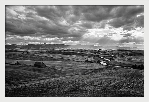 Palouse Hills Landscape Vista