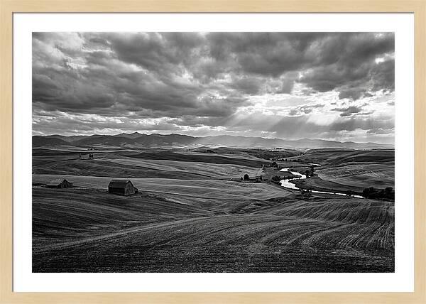 Palouse Hills Landscape Vista