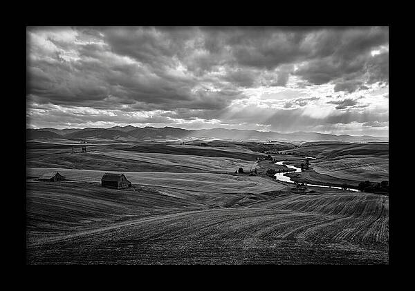 Palouse Hills Landscape Vista
