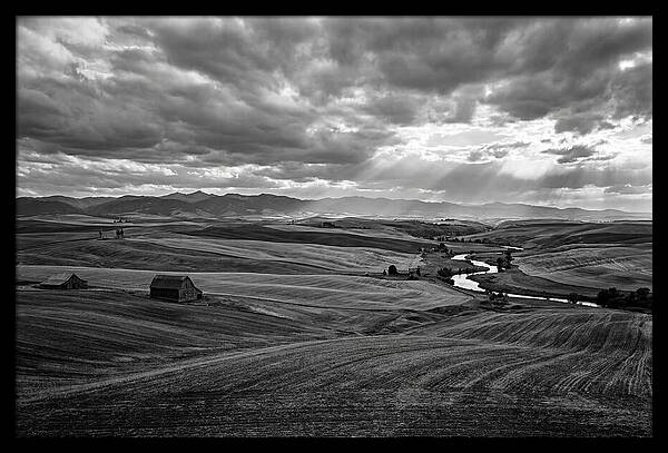 Palouse Hills Landscape Vista