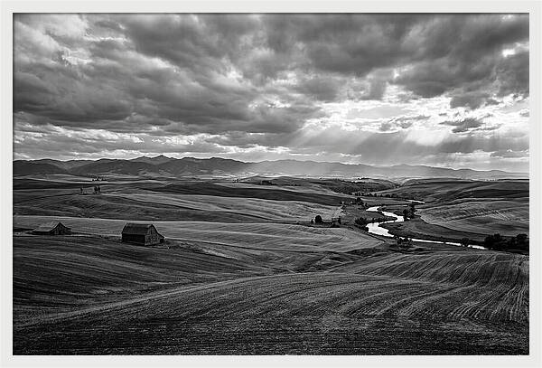 Palouse Hills Landscape Vista