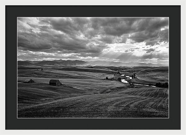 Palouse Hills Landscape Vista