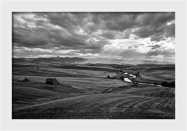 Palouse Hills Landscape Vista