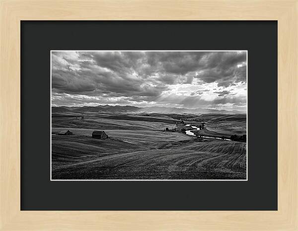 Palouse Hills Landscape Vista