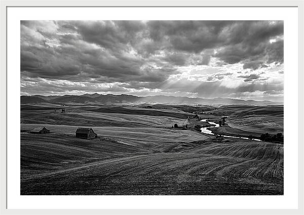 Palouse Hills Landscape Vista