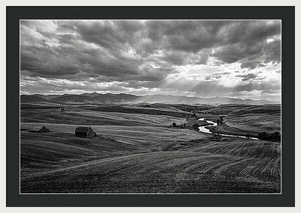 Palouse Hills Landscape Vista