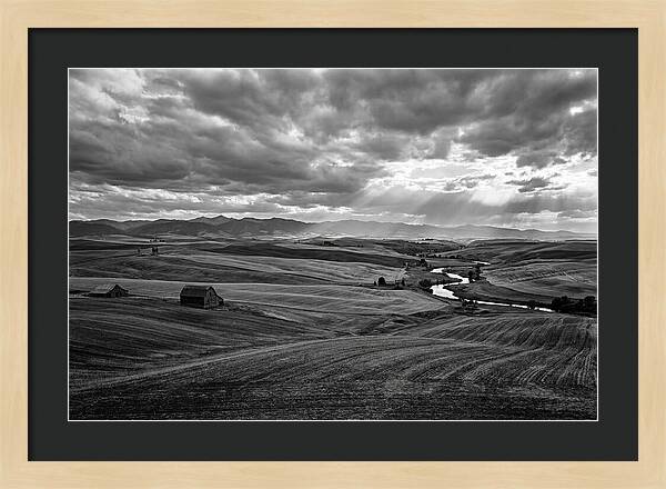 Palouse Hills Landscape Vista