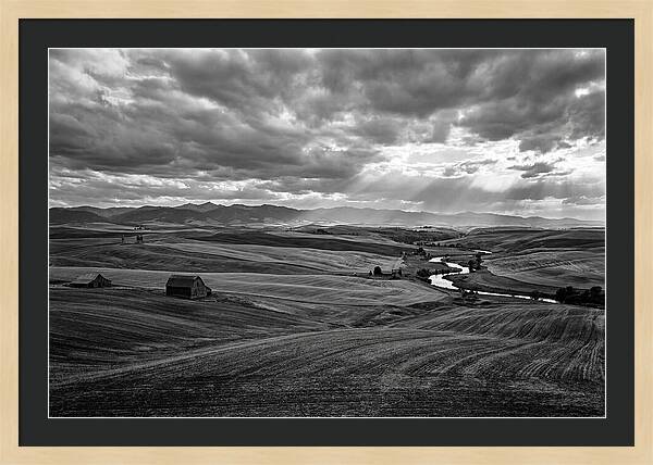 Palouse Hills Landscape Vista